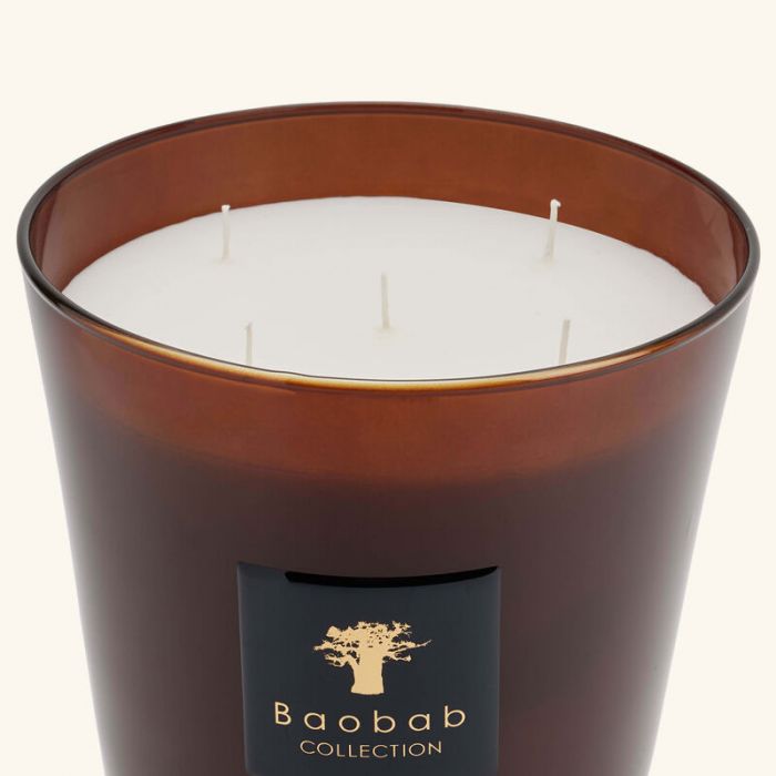 MAX 24 CUIR DE RUSSIE: BAOBAB - شمعة | BAOBAB COLLECTION - مجموعة باوباب MAX 24 CUIR DE RUSSIE: BAOBAB - شمعة | BAOBAB COLLECTION - مجموعة باوباب