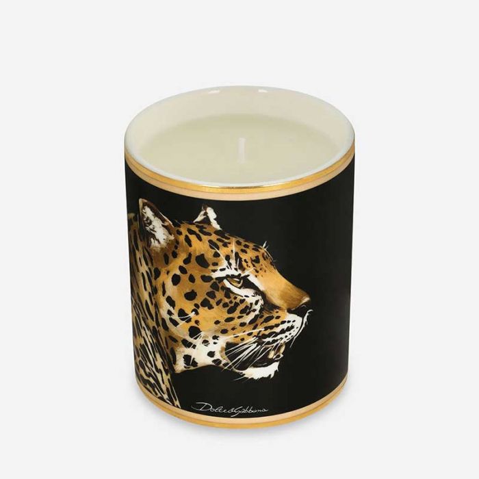 FUR-ACC-CANDLE - شموع | DOLCE & GABBANA - دولتشي & غابانا FUR-ACC-CANDLE - شموع | DOLCE & GABBANA - دولتشي & غابانا