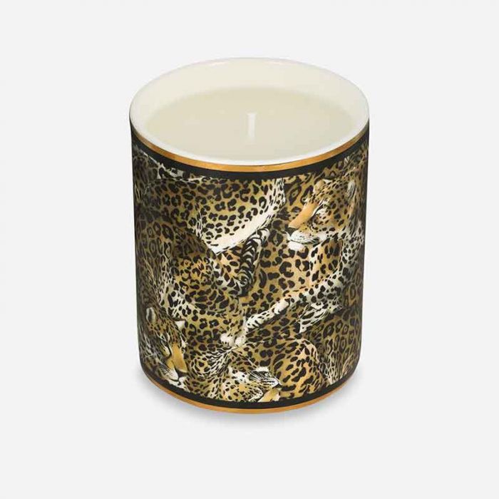 FUR-ACC-CANDLE - شموع | DOLCE & GABBANA - دولتشي & غابانا FUR-ACC-CANDLE - شموع | DOLCE & GABBANA - دولتشي & غابانا