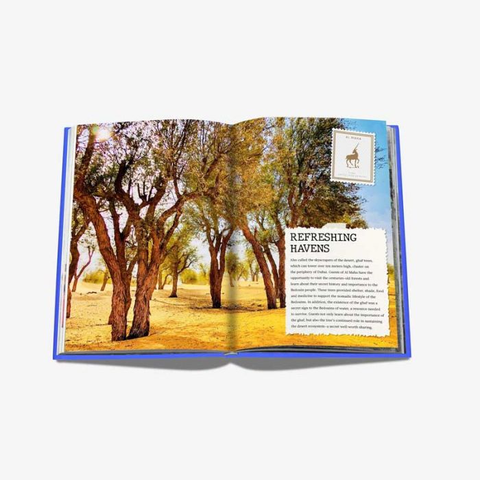THE LUXURY COLLECTION: HOTEL SECRETS: ASSOULINE - كتاب | ASSOULINE - ملاشيت THE LUXURY COLLECTION: HOTEL SECRETS: ASSOULINE - كتاب | ASSOULINE - ملاشيت