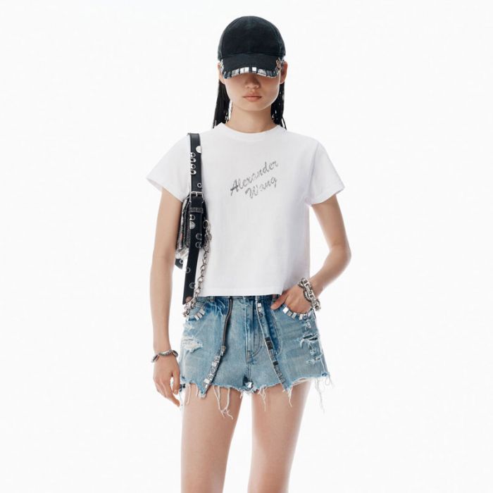 SHRUNKEN TEE W HOTFIX LOGO - تي شيرت | ALEXANDER WANG - الكسندر وانغ SHRUNKEN TEE W HOTFIX LOGO - تي شيرت | ALEXANDER WANG - الكسندر وانغ