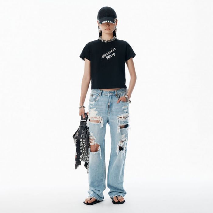 SHRUNKEN TEE W HOTFIX LOGO - تي شيرت | ALEXANDER WANG - الكسندر وانغ SHRUNKEN TEE W HOTFIX LOGO - تي شيرت | ALEXANDER WANG - الكسندر وانغ