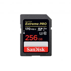 SDSDXXY-256G-GN4IN EXTREME PRO SDXC - 170MB/S - بطاقة ميموري للكاميرا