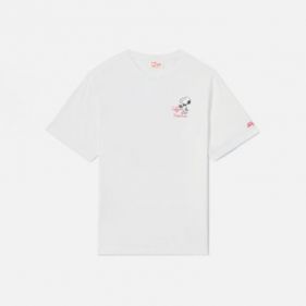 T-SHIRT  - تي شيرتات  كم قصير